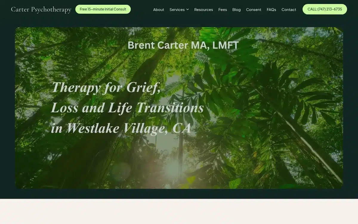 carterpsychotherapy.com homepage
