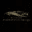 Limousine South Bay logo
